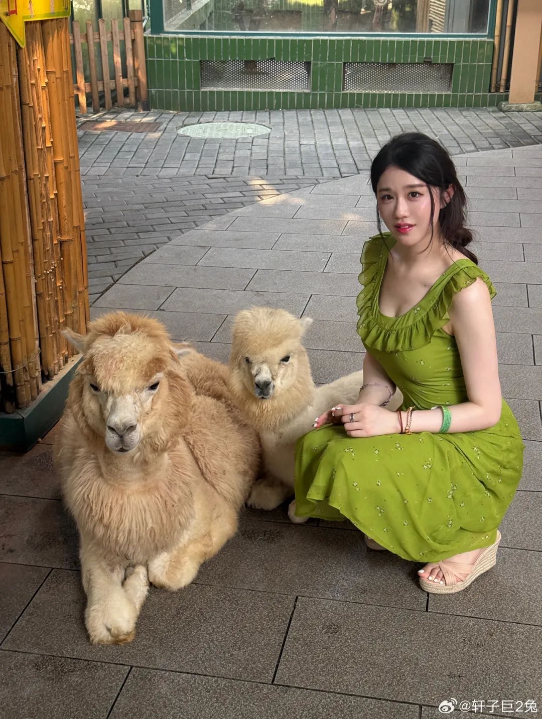 轩子巨2兔晒美照！网友锐评其靠擦边起号，轩子回应：直播你是一集没看，造谣你张嘴就来！