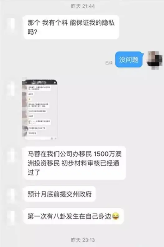 马蓉移民生活揭秘:离婚后的金发转变