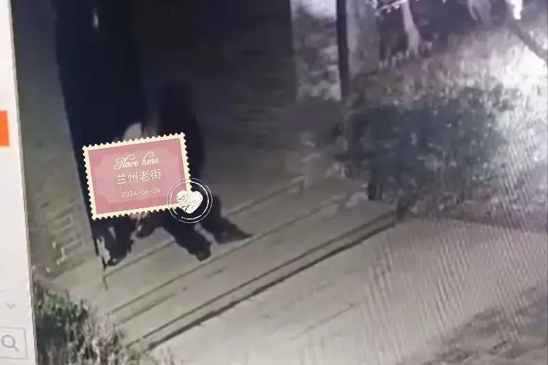 兰州老街兰亭巷大瓜事件背后:揭秘不为人知的秘密