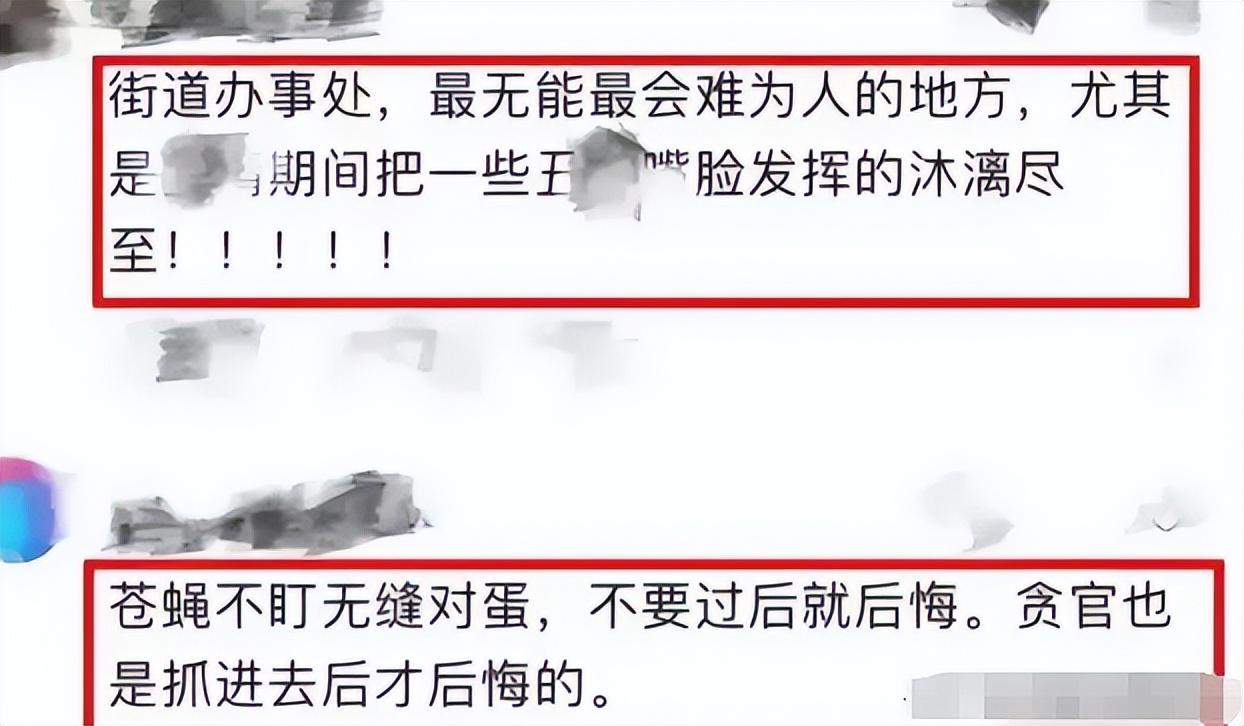 街办副主任出轨母女事件曝光,聊天记录曝光引发社会热议